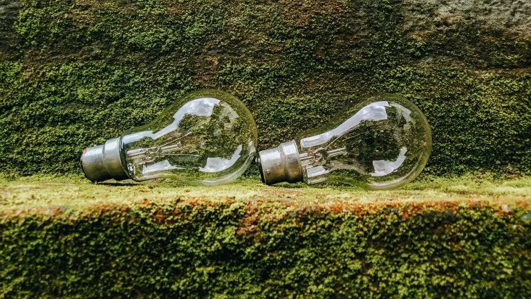 天津市发展改革委关于2025年度增量新能源项目机制电量竞价工作有关事项的通知--领智咨询