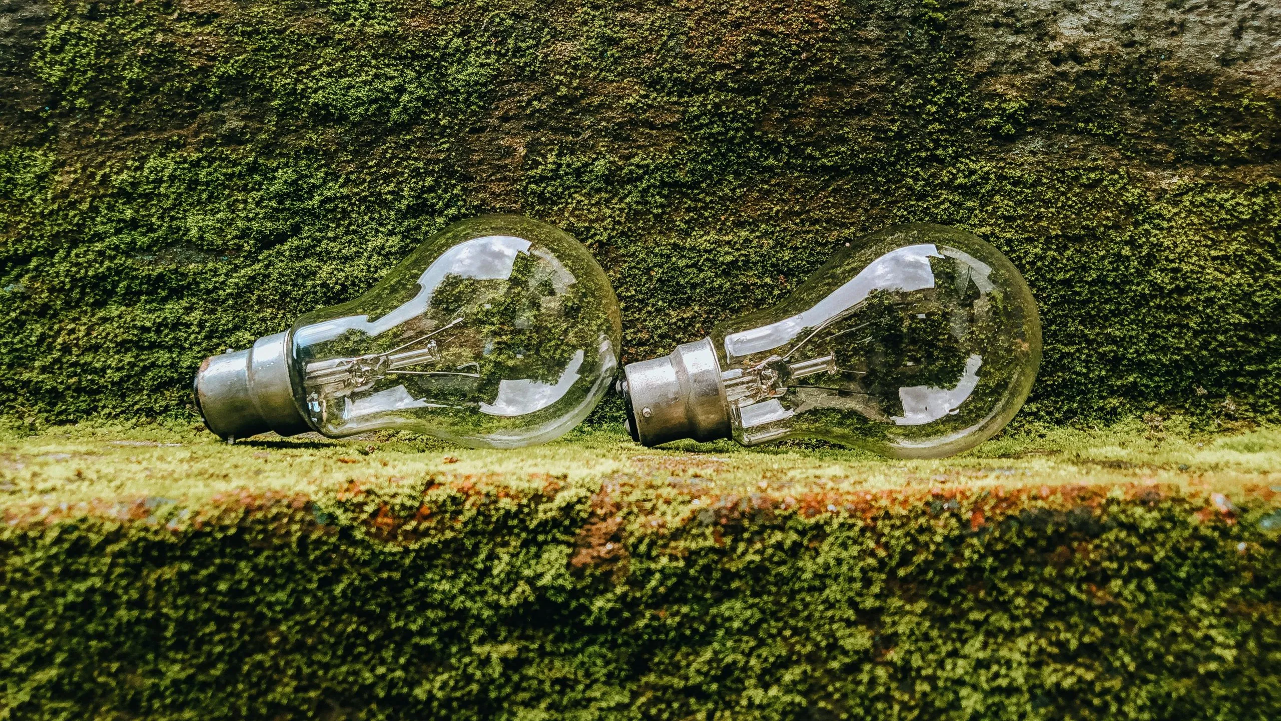 天津市发展改革委关于2025年度增量新能源项目机制电量竞价工作有关事项的通知--领智咨询